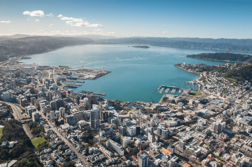 Wellington Office movers